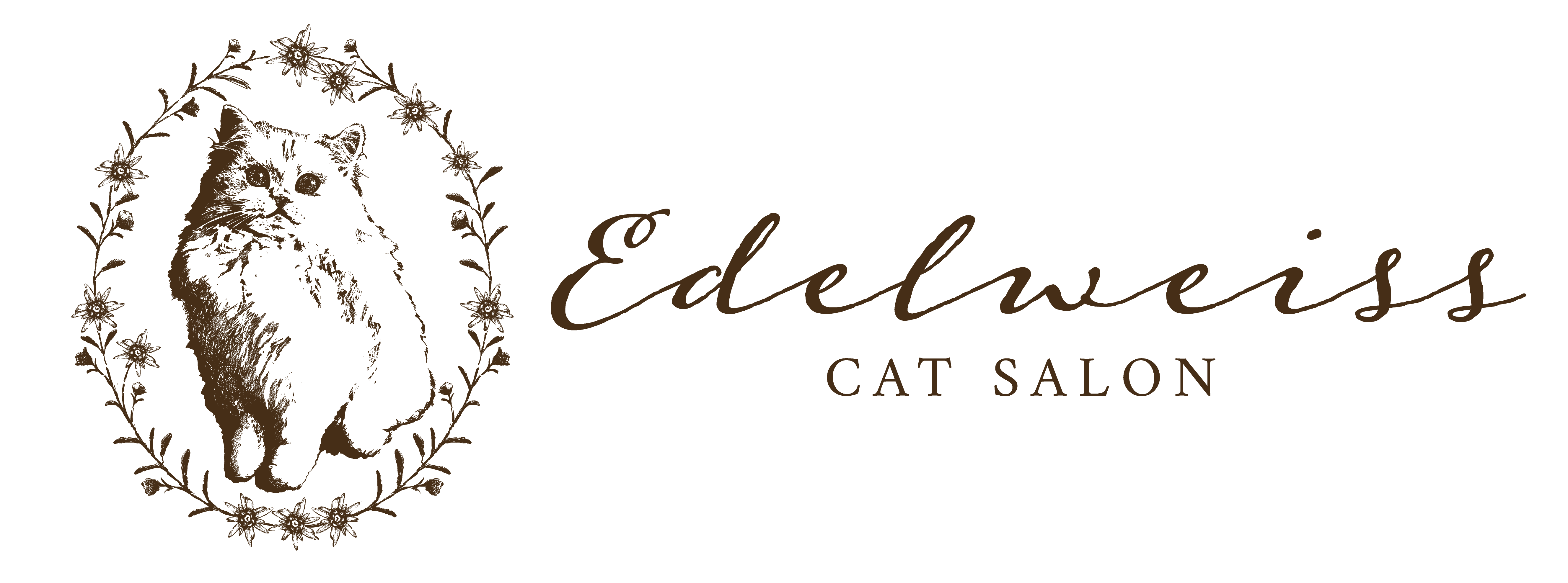 CAT SALON Edelweiss